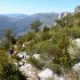 Randonnée autour des Cadières de Brandis près de Castellane-5