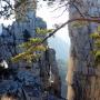 Randonnée autour des Cadières de Brandis près de Castellane-8