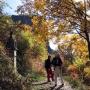 Sentier de la Chapelle Notre Dame du Roc-7