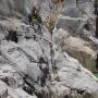 Aiglun 09 aout-34