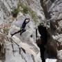 Canyon d'Aiglun le 30 aout 2025-70