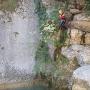 Gours du Ray 11 aout-41