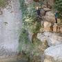Gours du Ray 11 aout-45