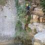 Gours du Ray 11 aout-53