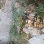 Gours du Ray 11 aout-63
