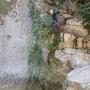 Gours du Ray 11 aout-68