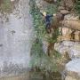 Gours du Ray 11 aout-69