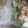 Canyon du Gours du Ray le 26 août avec Caro-31