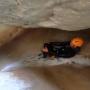 Canyon du haut jabron 10-07-25-11