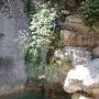 Gours du Ray 16 juin-38