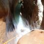 Canyon de Riolan le 30 juin-34