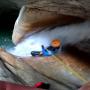 Canyon du haut jabron 02-05-25-7