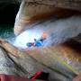 Canyon du haut jabron 02-05-25-8