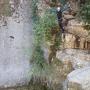 Gours du Ray 10 08-36