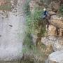 Gours du Ray 10 08-52