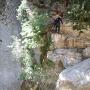 Canyon du Gours du Ray le 06 07-24