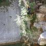 Canyon du Gours du Ray le 06 07-27