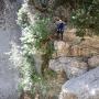 Canyon du Gours du Ray le 06 07-31