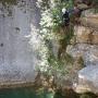 Canyon du Gours du Ray le 06 07-32