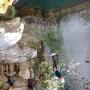 Gours du Ray 23 juillet-54