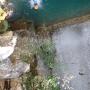 Gours du Ray 23 juillet-64