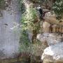 Gours du Ray 23 juillet-83