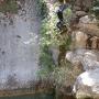 Gours du Ray 23 juillet-85