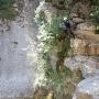 Gours du Ray le 27 juin-57