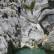 Canyoning - Canyon d'Aiglun - 6