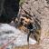 Canyoning - Canyon de la cascade de la Lance - 6