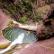 Canyoning - Canyon de Challandre - 13