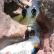 Canyoning - Canyon de Challandre - 18