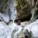 Canyoning - Canyon du Haut Jabron - 15