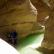 Canyoning - Canyon du Riolan - 1