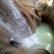 Canyoning - Canyon du Riolan - 7