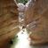 Canyoning - Canyon du Riolan - 35