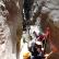 Canyoning - Canyon du Riolan - 37