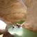 Canyoning - Canyon du Riolan - 46
