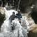 Canyoning - Canyon de Saint Auban - 6