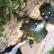 Canyoning - Canyon de Saint Auban - 28