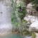 Canyoning - Canyon du Gours du Ray - 2